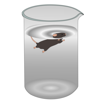 Quantifying Despair and Depression Illustration of the Porsolt forced swim test