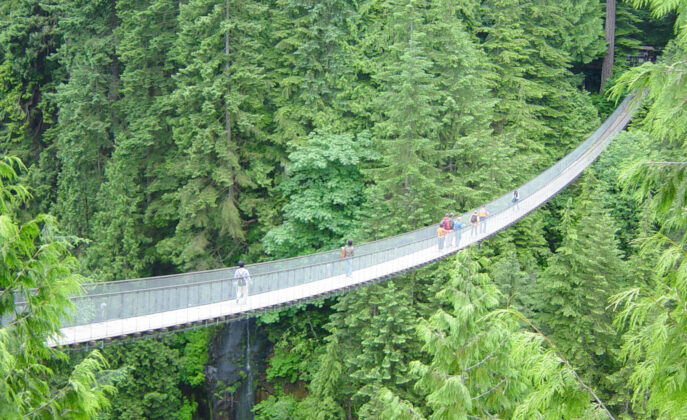 The Capilano Suspension Bridge The Capilano Suspension Bridge