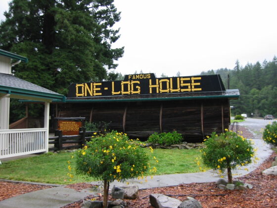 One-Log House The One-Log House