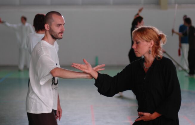 Pushing hands in Czech Republic