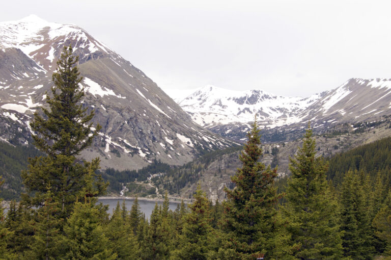 Landscape with forest mountains