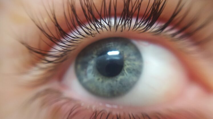 Eye Language An eye
