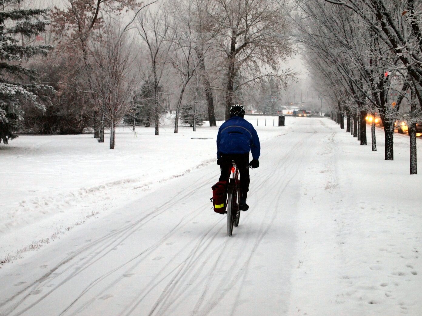 best winter training bike