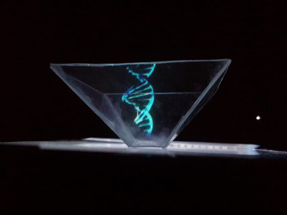 The Holographic Paradigm Hologram of a DNA model