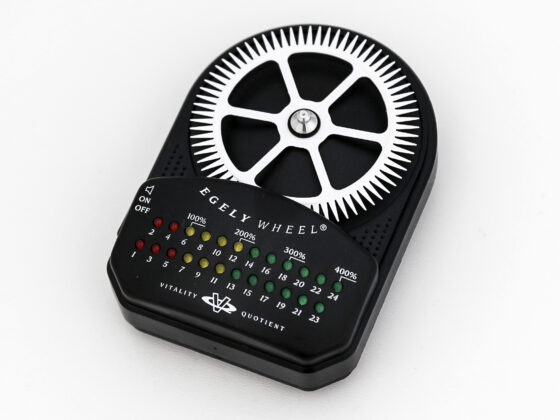 The Egely Wheel